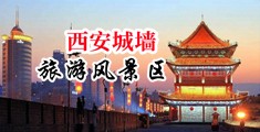 黑鸡巴操亚洲人中国陕西-西安城墙旅游风景区